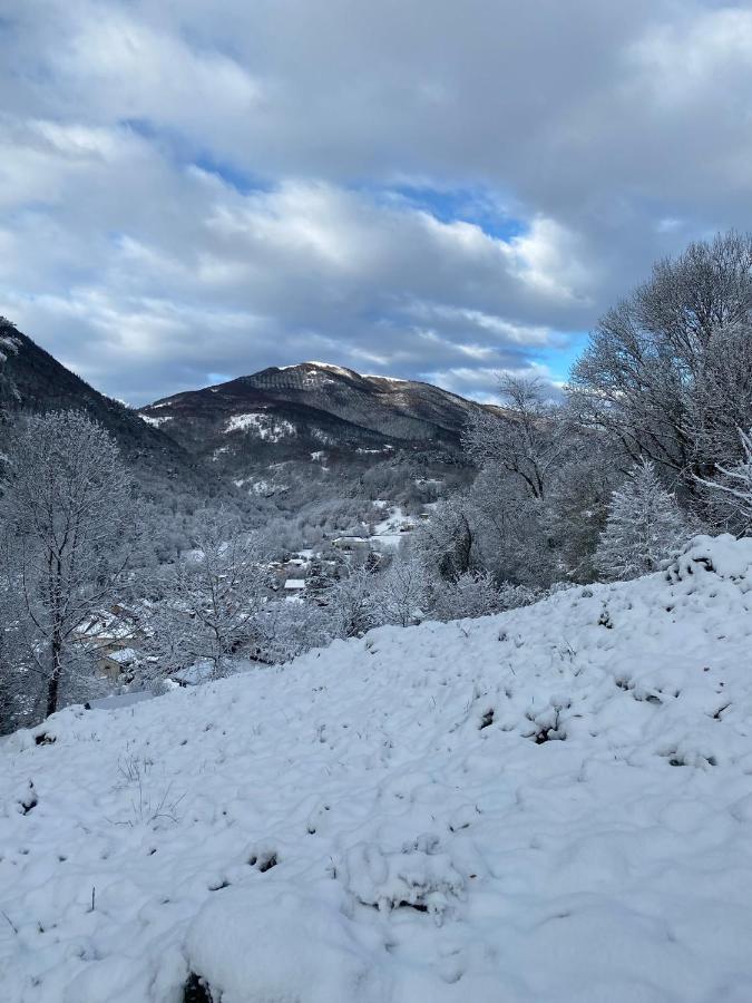Maison Situee Au Val De Baubere, Petite Vallee A Cote Du Village De Holiday home Seix